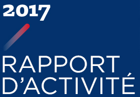 2017 - Rapport d'Activité
